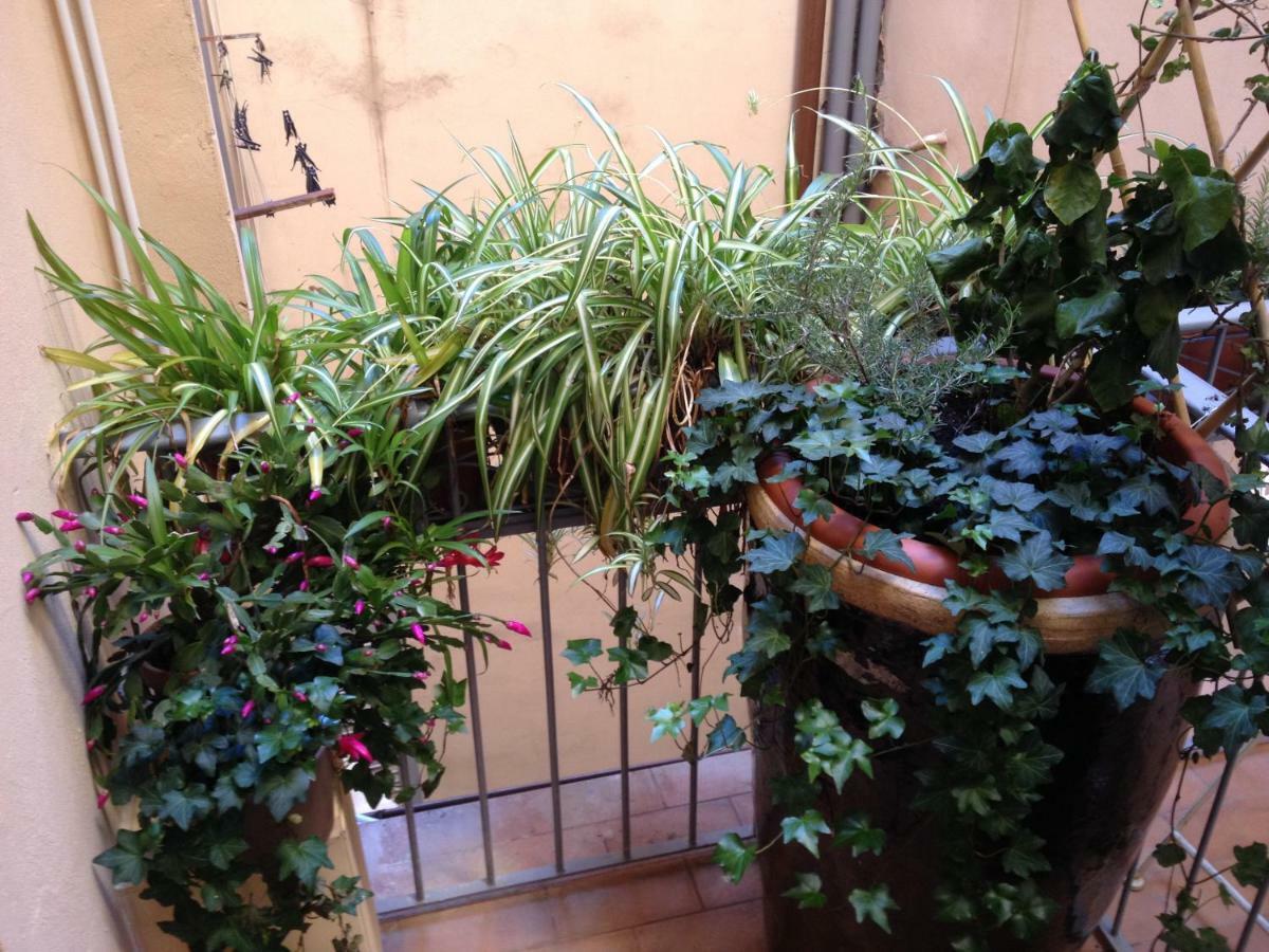 Oasis In The Heart Of Florence Luaran gambar